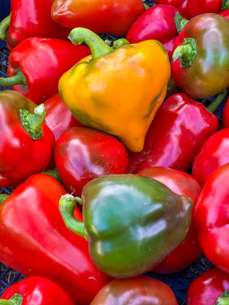 istock Fresh Colorful Bell Peppers at a Market 2205748165