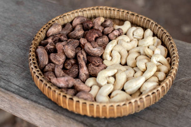 istock organic cashew nuts in cambodia farm 2205748222