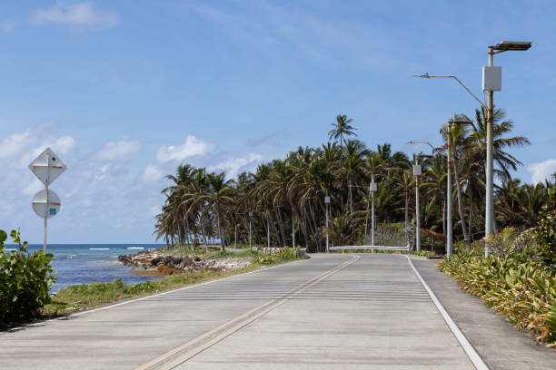 istock Road Along the Sea with Palm Trees 2205749514