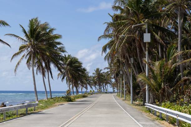istock Road Along the Sea with Palm Trees 2205749515