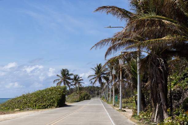istock Road Along the Sea with Palm Trees 2205749516