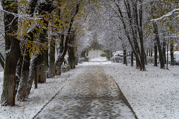 istock Winter walkway covered in fresh snow alongside leafless trees 2205755200