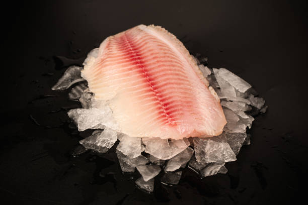istock Fresh tilapia fillet on ice on black background 2205755582