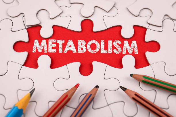 istock METABOLISM. White puzzle pieces and colored pencils 2205766513