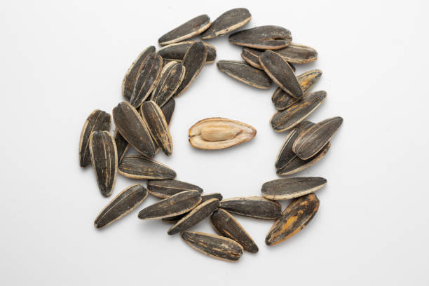Sunflower seeds arranged in a circle on a white background, with one opened seed in the center, showcasing the edible part