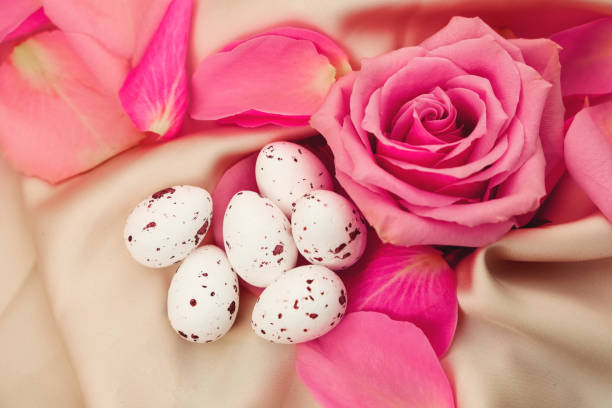 Beautiful pink roses and delicate eggs arranged on soft fabric background