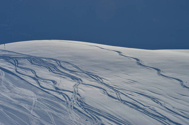 View after skiers use a off road