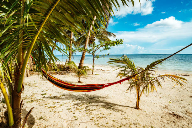 A colorful hammock suspended between palm trees on a sandy beach, overlooking the tranquil waters under a sunny sky. Enjoy the relaxing vibe and tropical setting of a beautiful island retreat.
