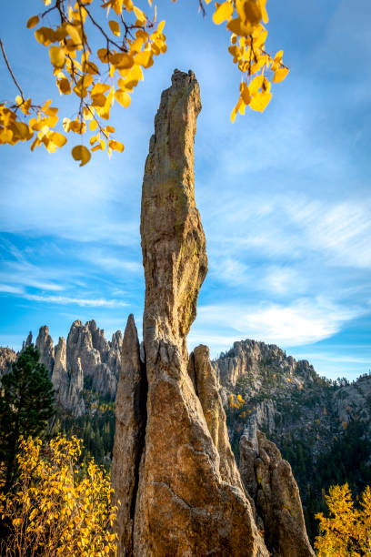 Totem Pole Spire on the Needles Highway