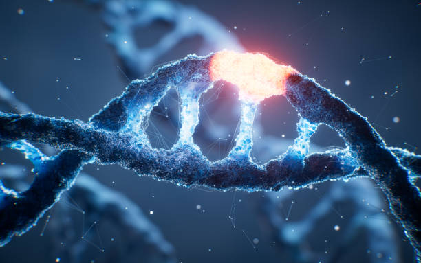 Biological DNA structure with gene mutation concept, 3d rendering. Biological DNA structure with gene mutation concept, 3d rendering. 3D illustration. genetic mutation stock pictures, royalty-free photos & images