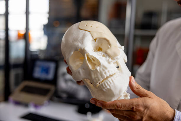 Doctor looking at a skull mold at a 3D printing laboratory
