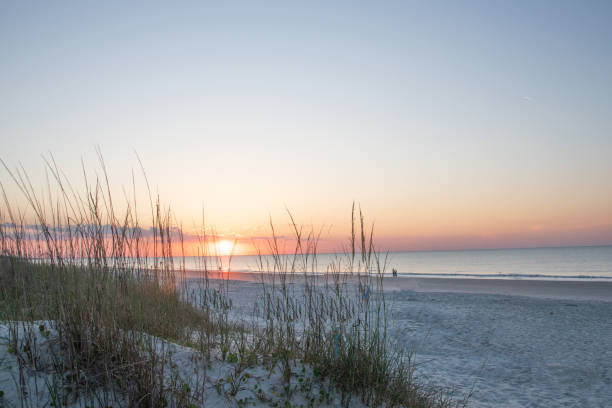 istock Beach walking at sunrise-Hilton Head Island,SC 2205793002