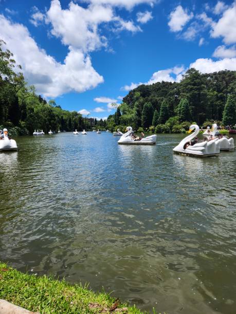 istock Black Lake in Gramado Brazil 2205793355