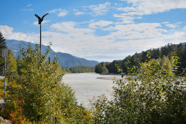 Brackendale Eagle Run vista point during a summer season along the Squamish River in Squamish, British Columbia, Canada.