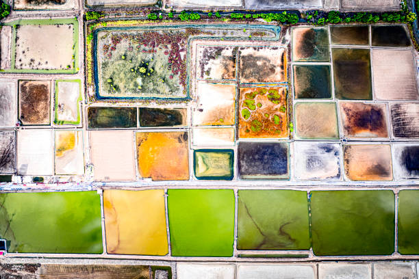 istock Colorful salt flats from above, Thailand 2205794886