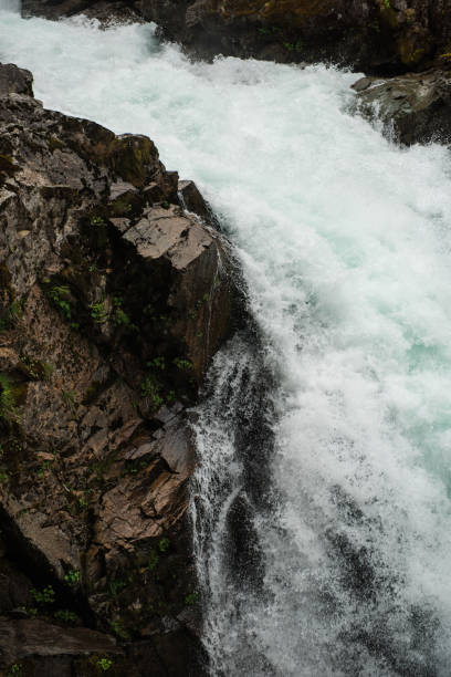 Rushing Waterfall Cascading Through Rocky Gorge in Rainier, Washington, United States
