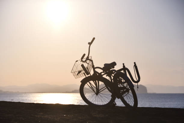 Bicycle with Turkish flag parked by the river