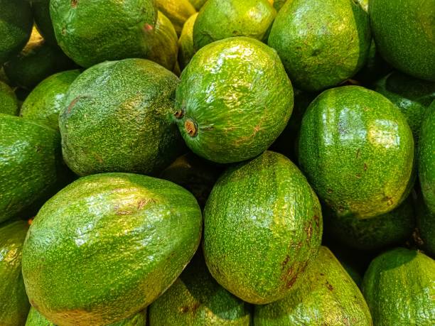 istock Background of fresh green avocado 2205807332