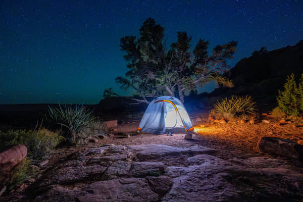 A glowing tent illuminates the rugged desert landscape under a starry night sky, creating a breathtaking scene of solitude and adventure. This image, captured at Toroweap Campground at Grand Canyon, showcases the beauty of outdoor camping, surrounded by nature, trees, and rocky terrain. The clear night sky, filled with stars, adds a magical touch, making this a perfect depiction of adventure travel, stargazing, and peaceful solitude. Ideal for camping enthusiasts, outdoor lovers, and night photography seekers.