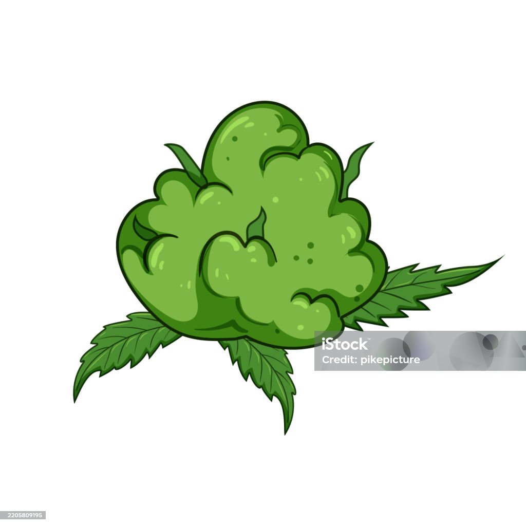 Nug Isolated Hemp Weed Bud Cartoon Vector Illustration Stock Illustration - Download ...