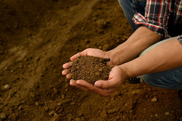 istock Farmer inspecting soil texture and composition, preparing for planting 2205811219