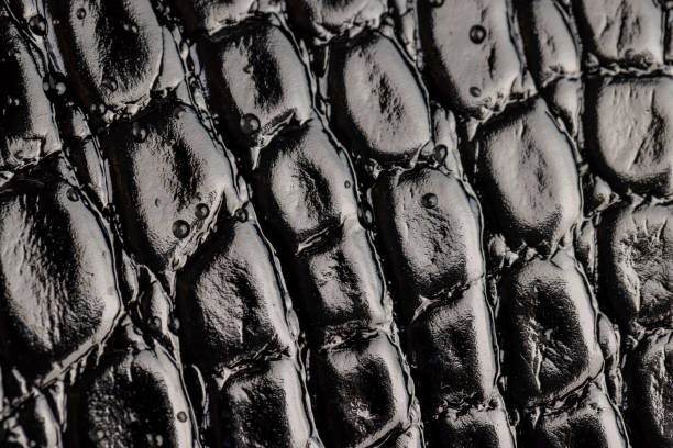 istock black polished leather dyed black with embossed crocodile leather covered with water droplets 2205812336