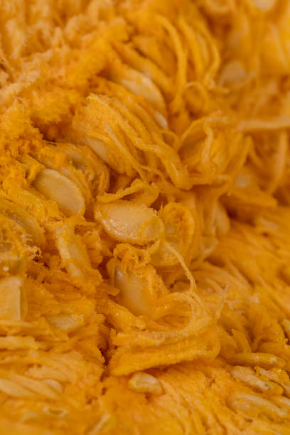 istock freshly cut orange pumpkin with cooking seeds 2205812570