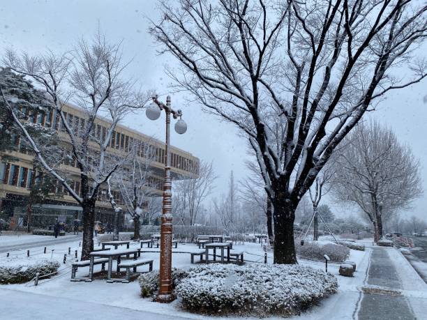 istock snow day in the korean national assembly_1 2205813442