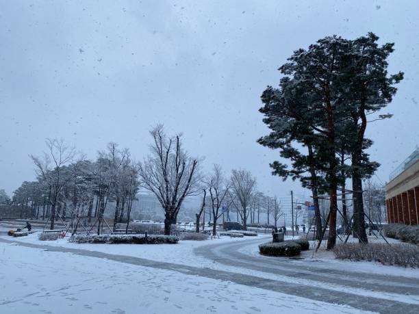 istock snow day in the korean national assembly_2 2205813446