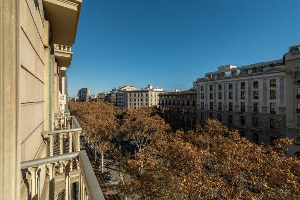 istock Scenic boulevard lined with autumn-colored trees viewed from a historic stone balcony in Barcelona, Spain. 2205818261