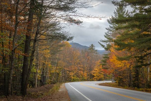 istock Scenic autumn road with vibrant foliage. 2205822820