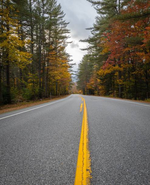 istock Scenic Road with Autumn Foliage 2205822825