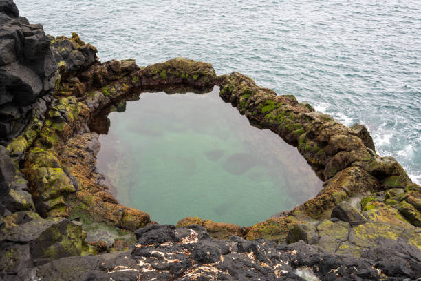 istock Brimketill lava rock pool in Iceland 2205824874