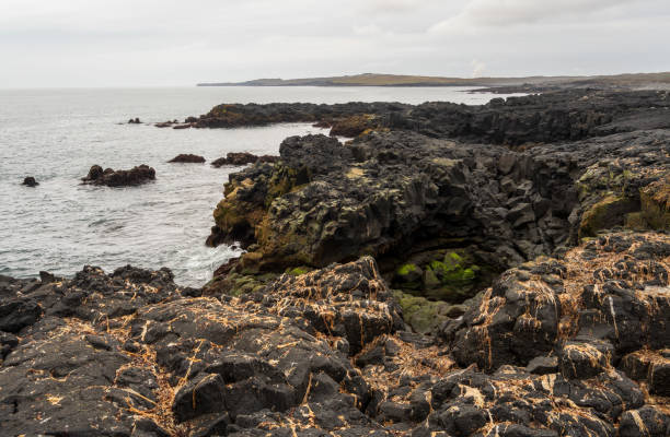 istock Brimketill lava rock pool in Iceland 2205825100
