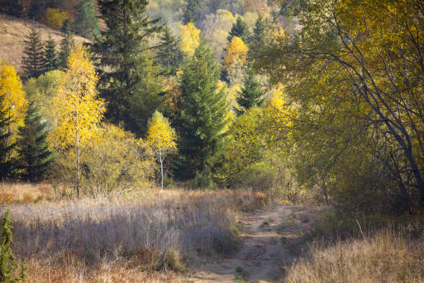 istock View of the autumn Bieszczady Mountains 2205827929