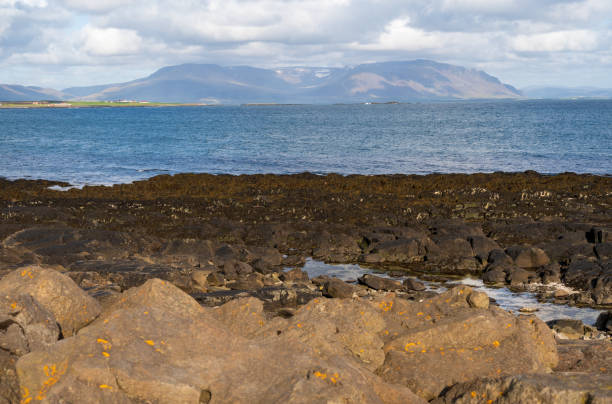 Old Akranes Lighthouse in Iceland