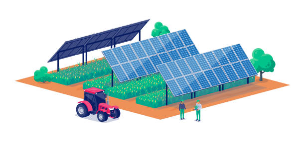 Crop farmland using agrivoltaics tracker solar panel system. vector art illustration