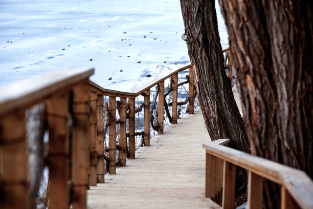 winter landscape
