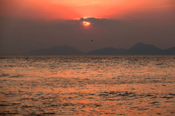 istock sunset over the sea 2205830857