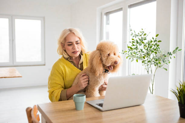 istock Productive Work-From-Home Day with a Loving Dog Companion 2205831854