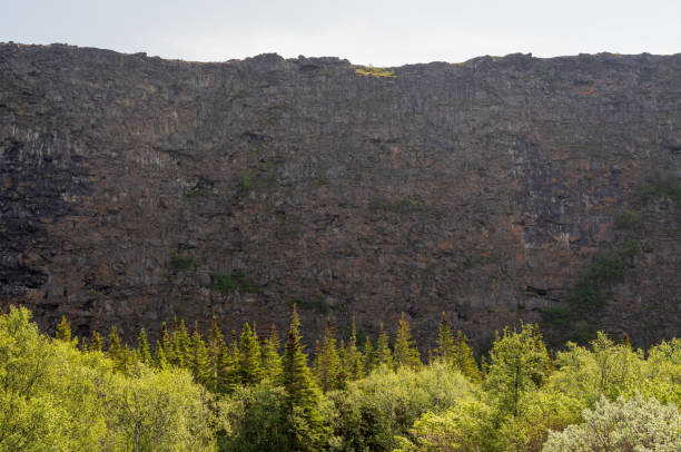 istock The Asbyrgi Canyon in north Iceland 2205833071