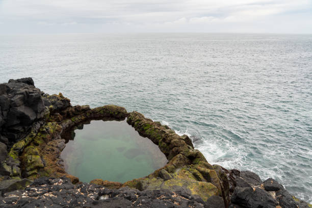 istock Brimketill lava rock pool in Iceland 2205833320