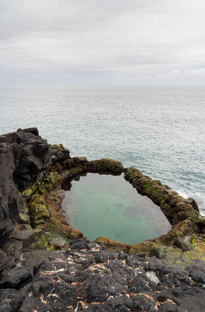 istock Brimketill lava rock pool in Iceland 2205835918