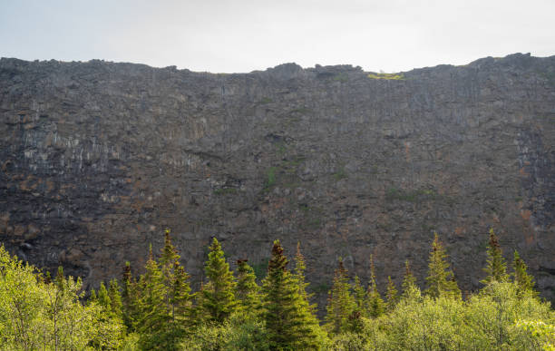 istock The Asbyrgi Canyon in north Iceland 2205835977