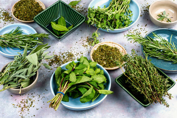 istock Set of fresh herbs spices. 2205837324