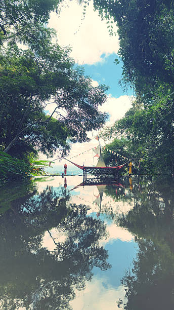 istock Pagoda with a clear reflection on the water 2205842023
