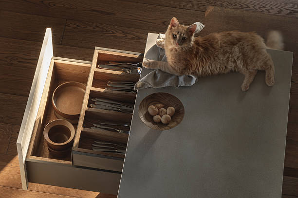 istock This charming wabi-sabi kitchen features a light ginger kitten lounging on a linen towel atop the kitchen island, complemented by an open counter with oak inserts displaying cutlery, all adorned in harmonious brown and grey shades 2205842447