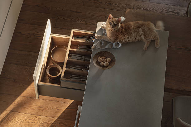 This charming wabi-sabi kitchen features a light ginger kitten lounging on a linen towel atop the kitchen island, complemented by an open counter with oak inserts displaying cutlery, all adorned in harmonious brown and grey shades