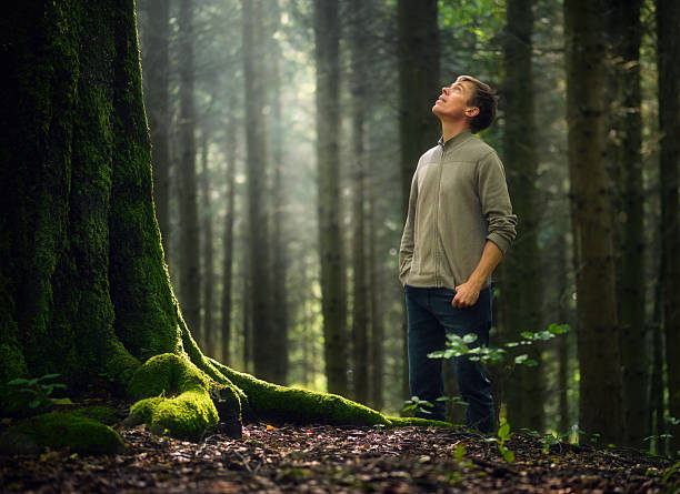 Hiker in forest looking up at a big tree