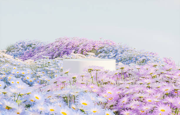 istock Abstract spring flowers landscape scene with white podium. 3d rendering. 2205849779